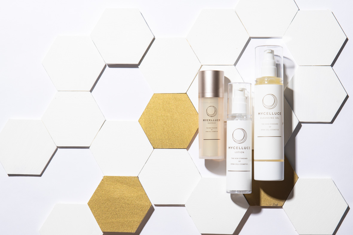 マイセルーチェ